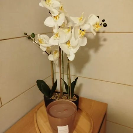Apartment Zur Goldenen Glocke *